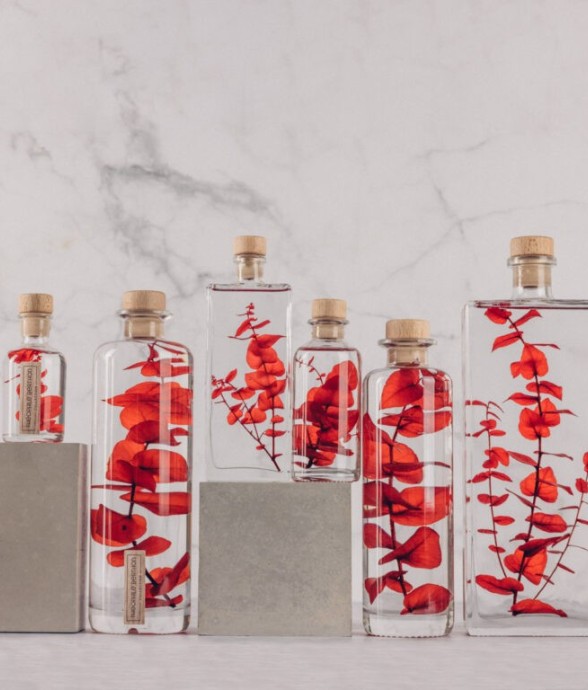 Herbarium fait main Plante...