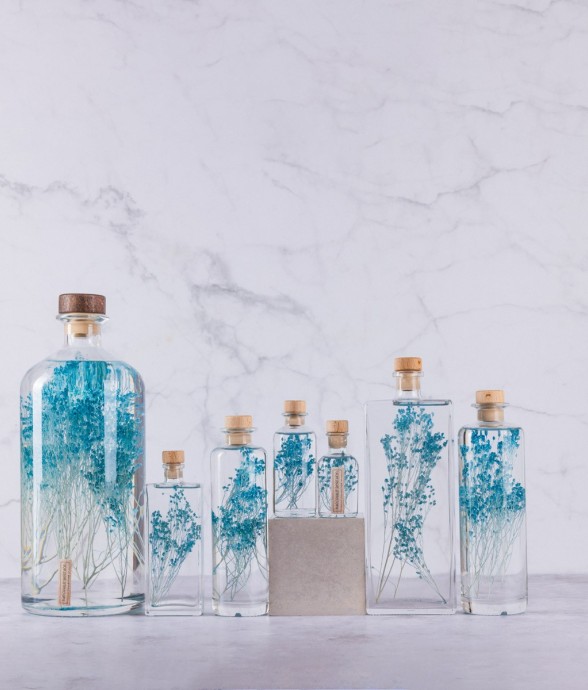 Herbarium fait main Plante...