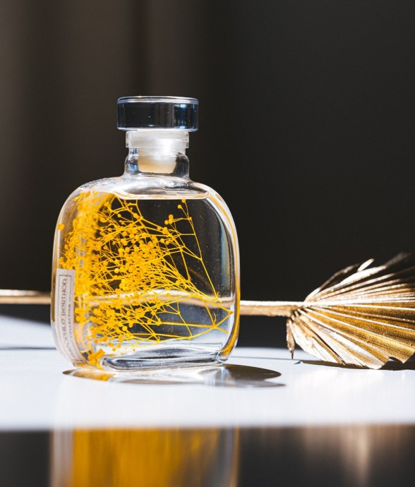 Herbarium fait main Plante...