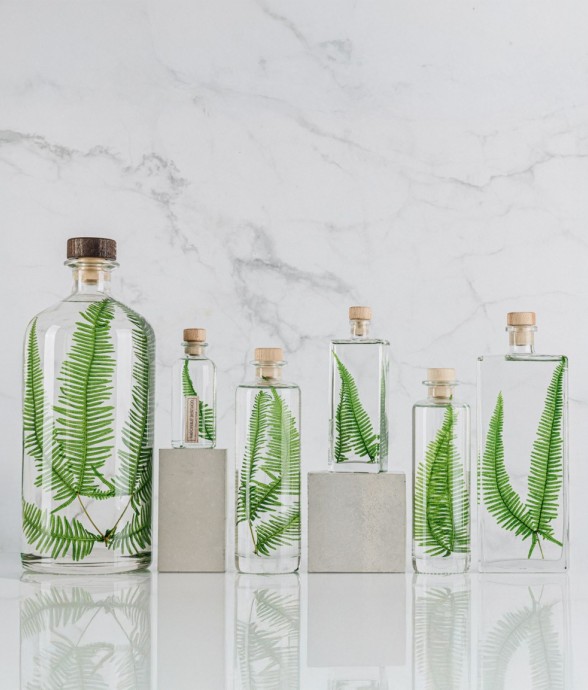 Herbarium fait main Plante...