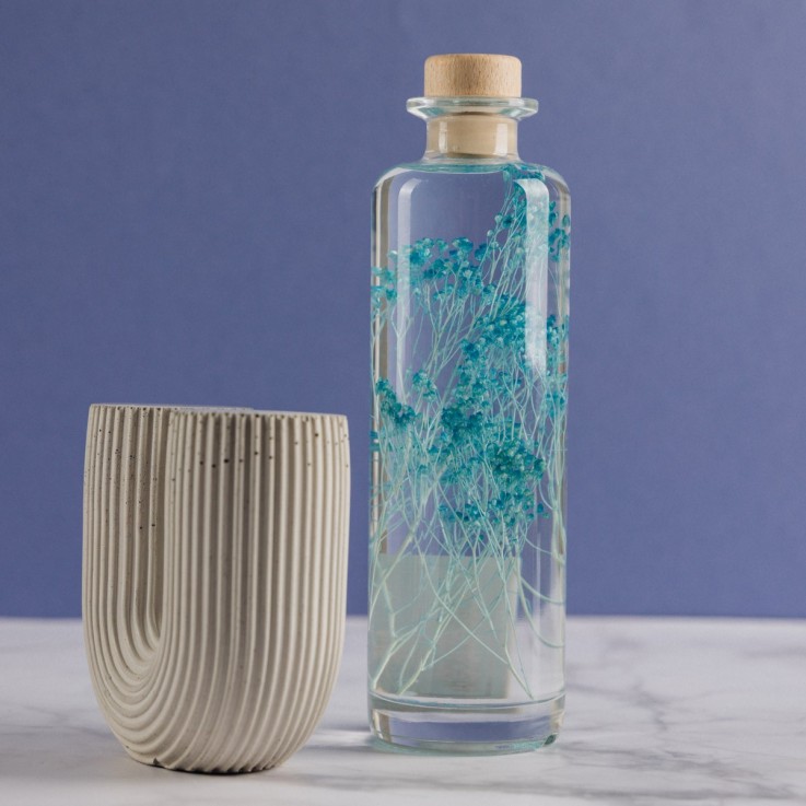 Herbarium fait main Plante immergée Broom turquoise