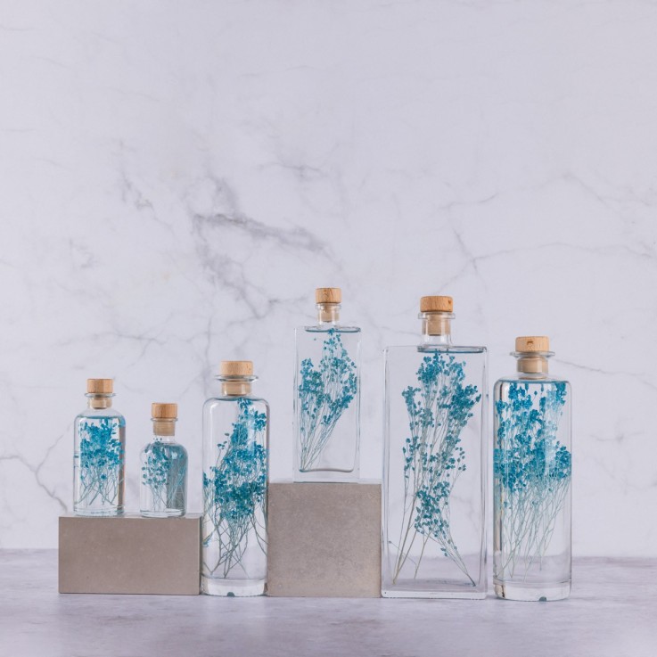 Herbarium fait main Plante immergée Broom turquoise