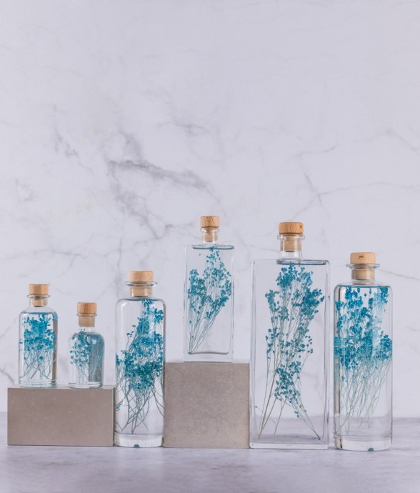 Herbarium fait main Plante...