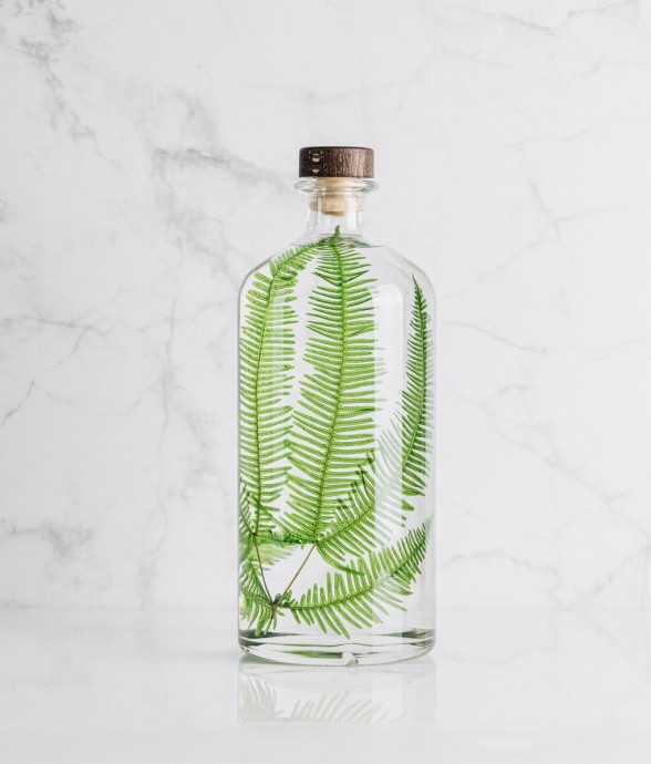 Herbarium fait main Plante...