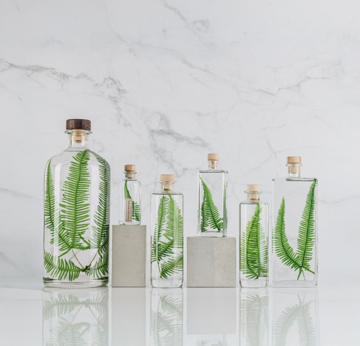 Herbarium fait main Plante immergée Fougère montagnes 3L