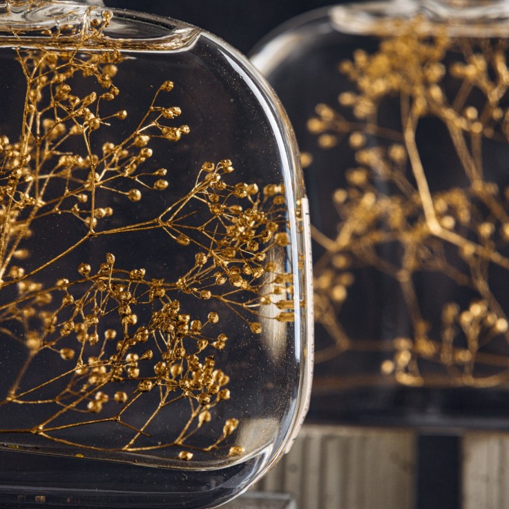 Herbarium fait main Plante immergée Capsule Gypsophile or