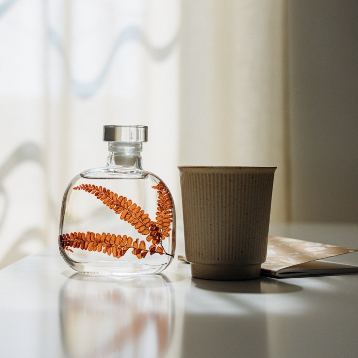 Herbarium fait main Plante immergée Capsule Felci rouge