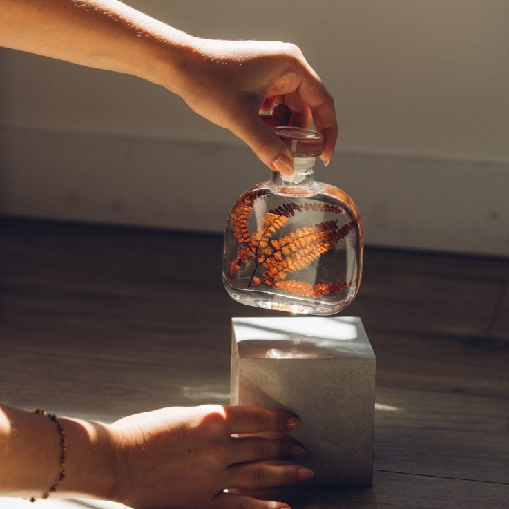 Herbarium fait main Plante immergée Capsule Felci rouge