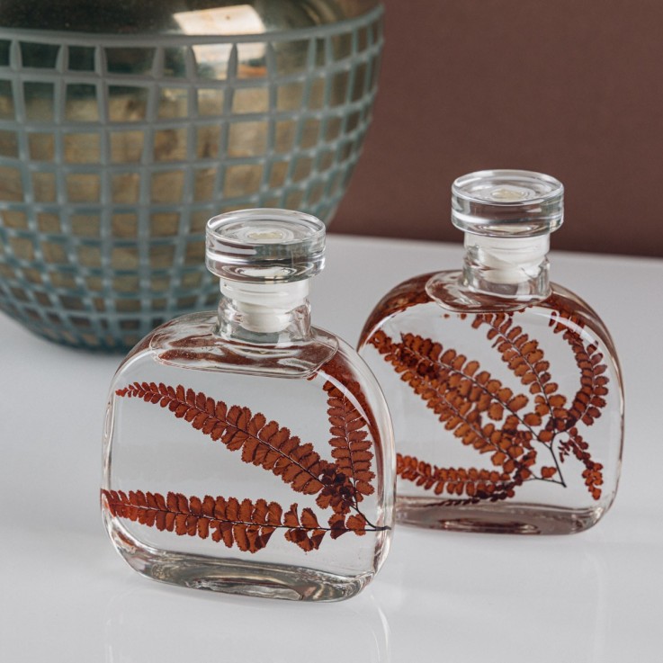 Herbarium fait main Plante immergée Capsule Felci rouge