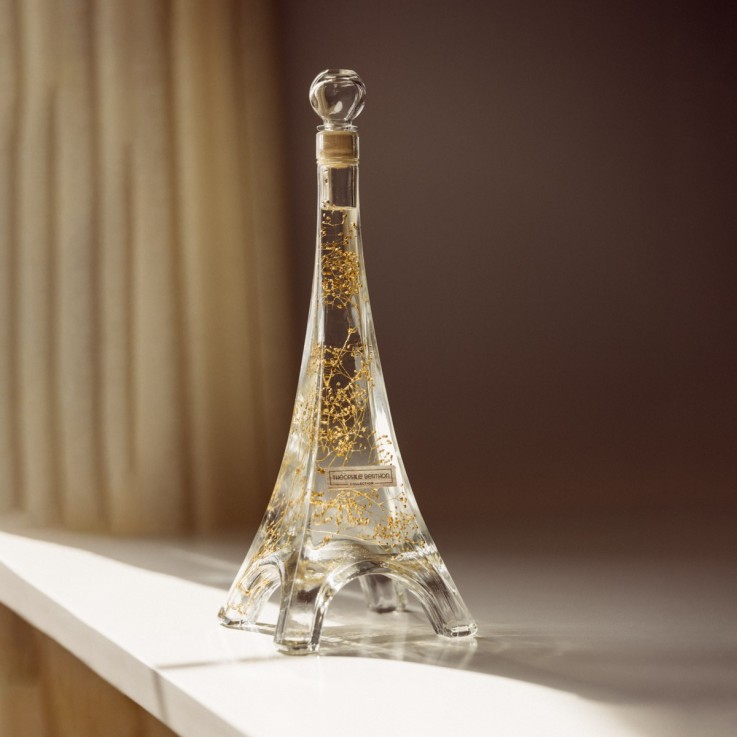 Herbarium fait main Plante immergée Gypsophile or Tour Eiffel