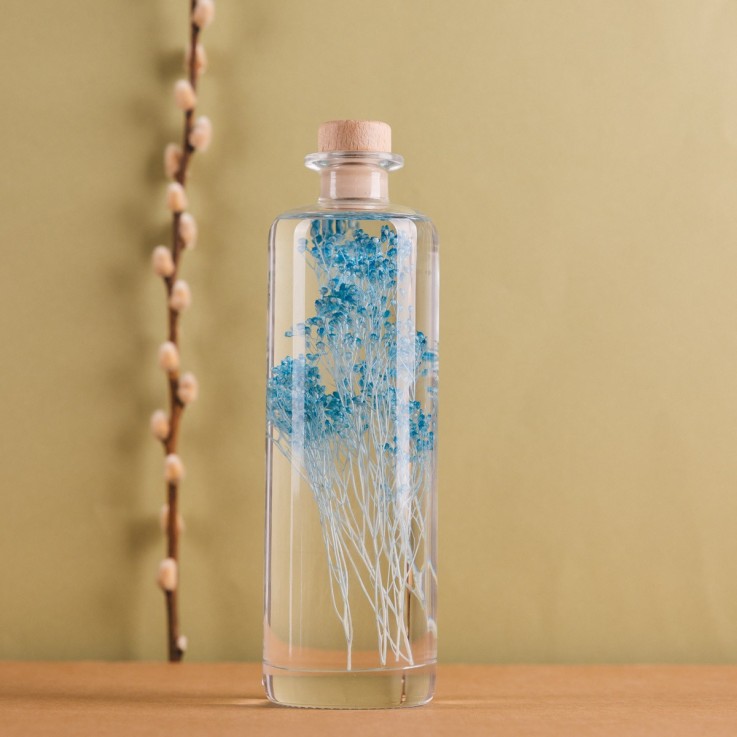 Herbarium fait main Plante immergée Broom turquoise