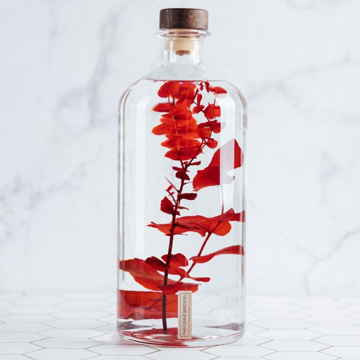 Herbarium fait main Plante immergée Eucalyptus rouge 3L