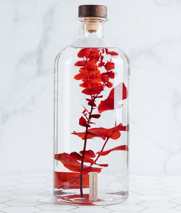 Herbarium fait main Plante...