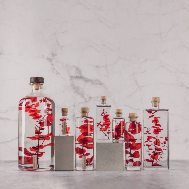 Herbarium fait main Plante immergée Eucalyptus rouge 3L