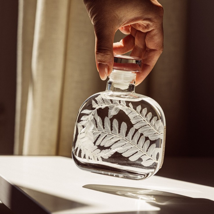 Herbarium fait main Plante immergée Capsule Fougère cuir blanche