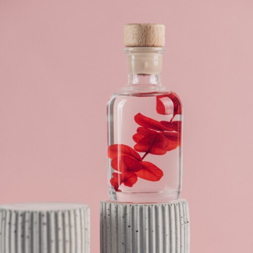 Herbarium fait main Plante immergée Eucalyptus rouge