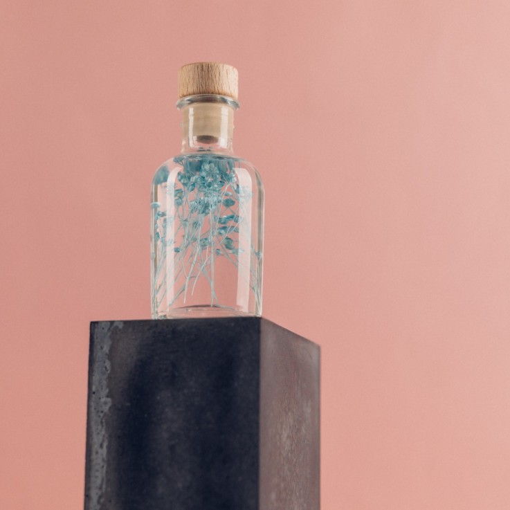 Herbarium fait main Plante immergée Broom turquoise