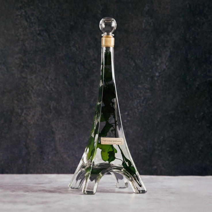 Herbarium fait main Plante immergée Lierre Hélix vert Tour Eiffel