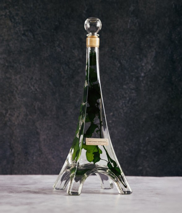 Herbarium fait main Plante...