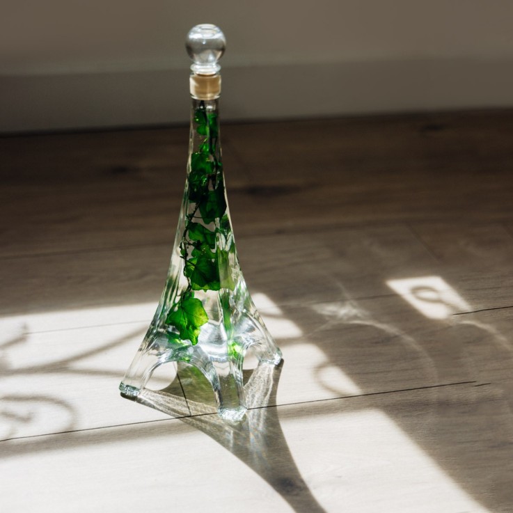 Herbarium fait main Plante immergée Lierre Hélix vert Tour Eiffel