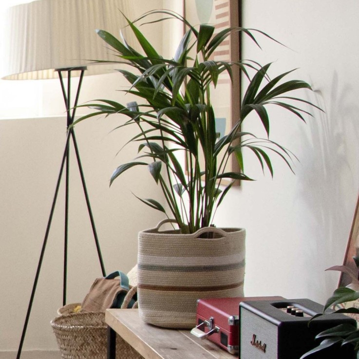 Panier Triplet En Coton Reversible