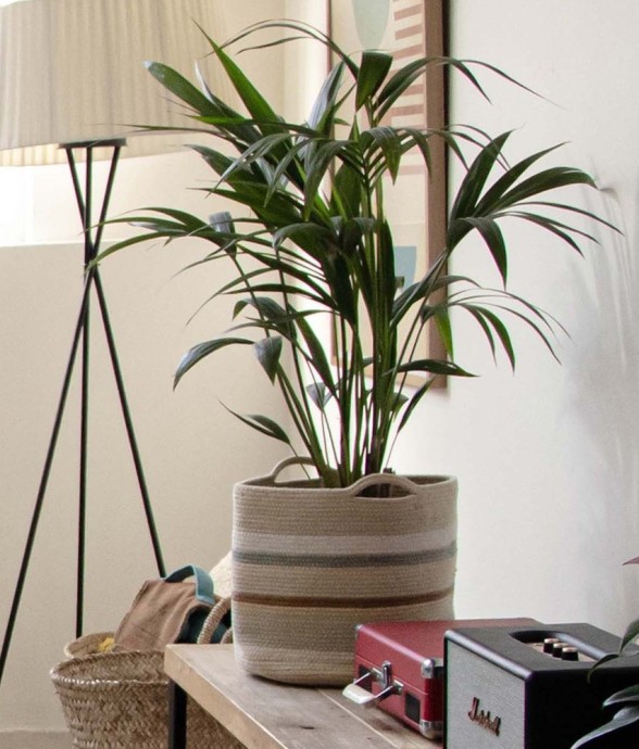 Panier Triplet En Coton...