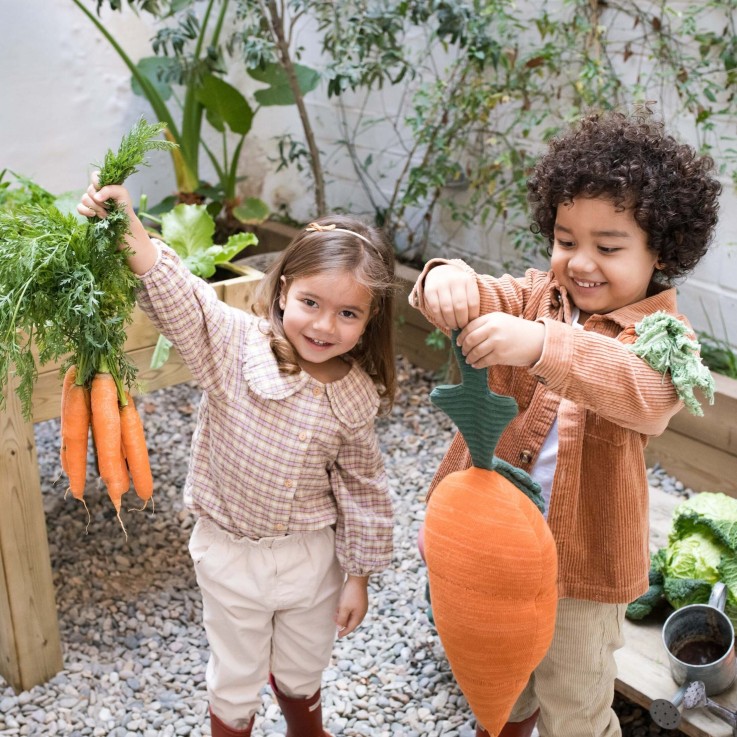 Coussin Pour Enfants En Coton Carotte Oli&Carol
