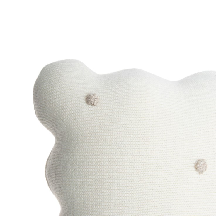 Coussin Tricoté En Coton Biscuit Dune Buiscuit
