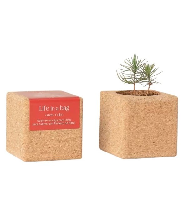 Grow Cube aimanté Sapin de...