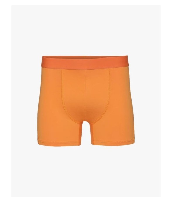 Boxer Sunny Orange