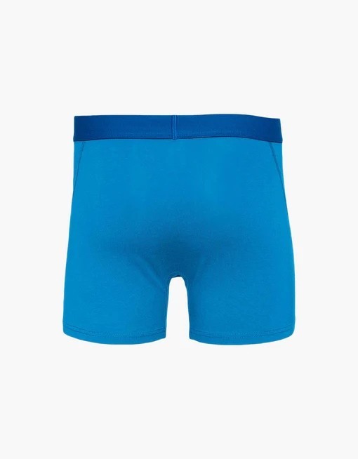 Boxer Pacific Blue
