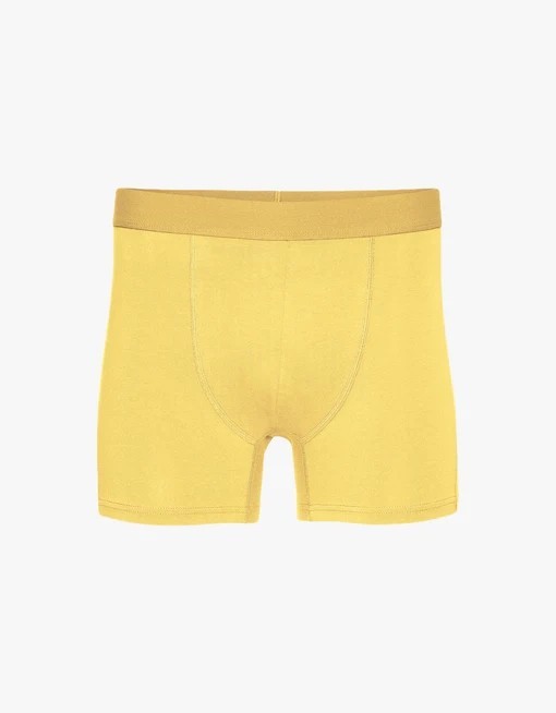 Boxer Lemon Yellow