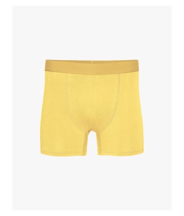 Boxer Lemon Yellow