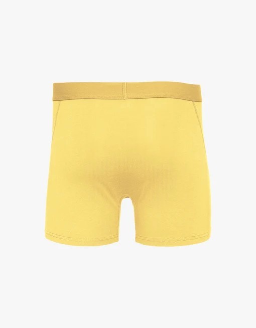 Boxer Lemon Yellow