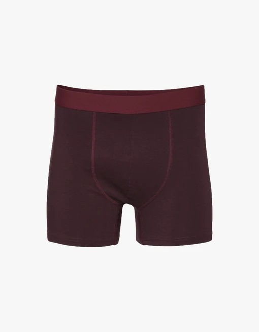 Boxer Oxblood Red