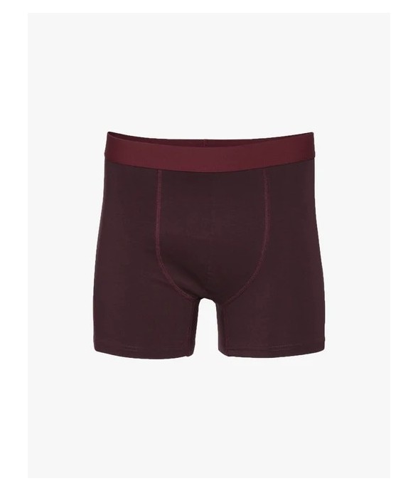 Boxer Oxblood Red