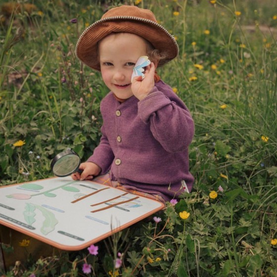 Jeu magnétique Cycle de vie du Papillon