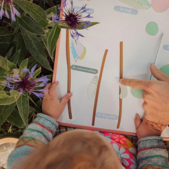 Jeu magnétique Cycle de vie du Papillon