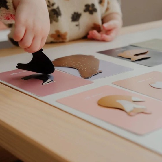 Jeu magnétique animaux forêt