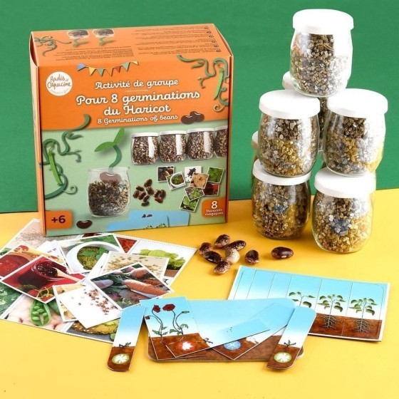 Coffret activité - Germination du Haricot