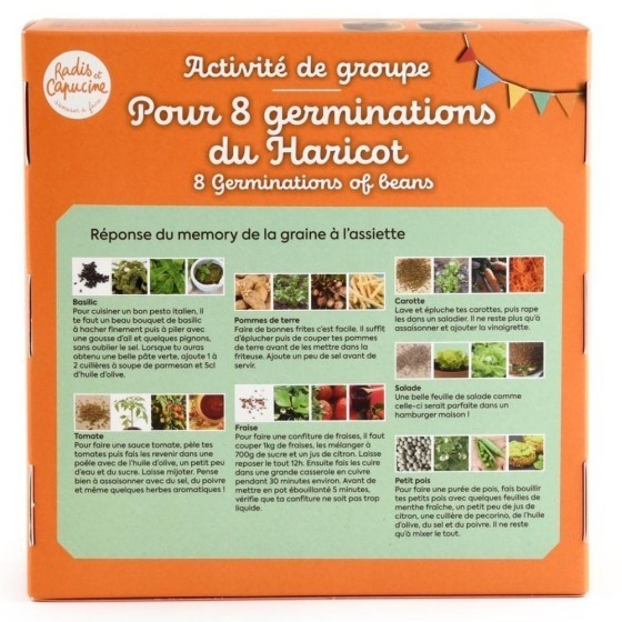 Coffret activité - Germination du Haricot
