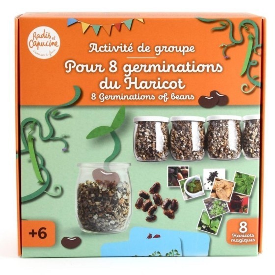 Coffret activité - Germination du Haricot