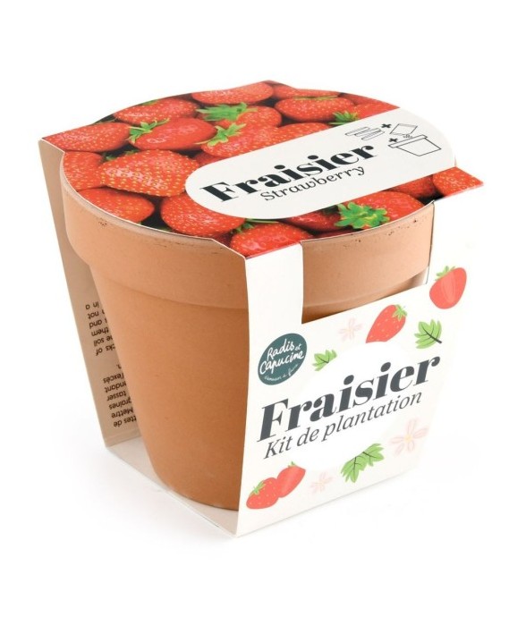 Pot Terre cuite Antique -...