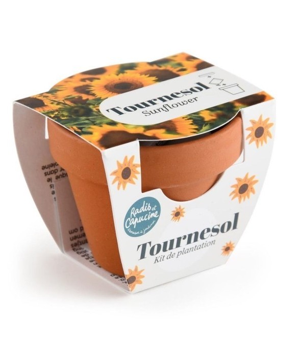 Mini kit 6 cm - Tournesol