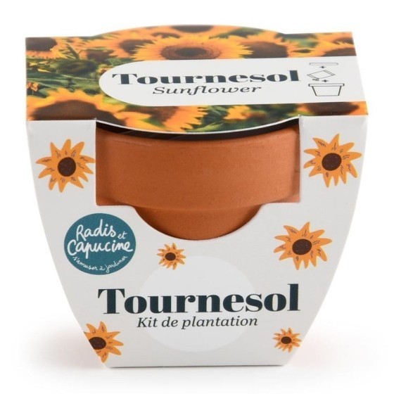 Mini kit 6 cm - Tournesol