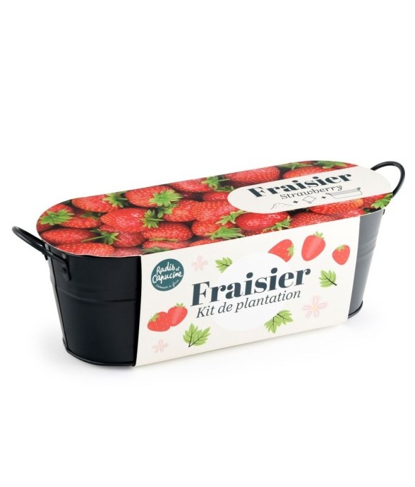 Jardinière zinc noir 30 cm...