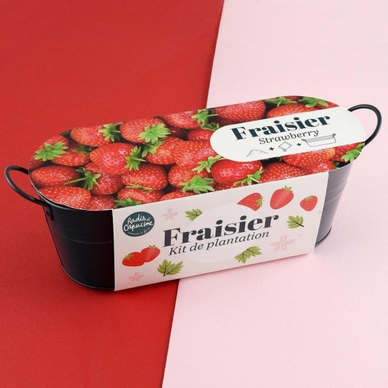 Jardinière zinc noir 30 cm - Fraisier