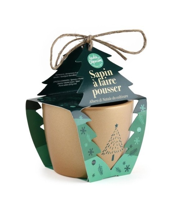 Kit Noël - Pot doré 8cm -...