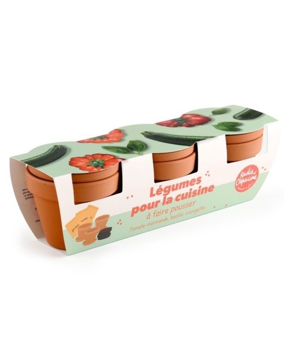 Trio légumes bio pour la...