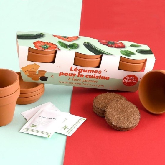 Trio légumes bio pour la cuisine – Tomate marmande / Basilic / Courgette